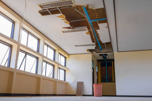 Best Flood restoration services  in Arcola, TX
