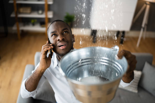 Best Local water damage restoration  in Arcola, TX
