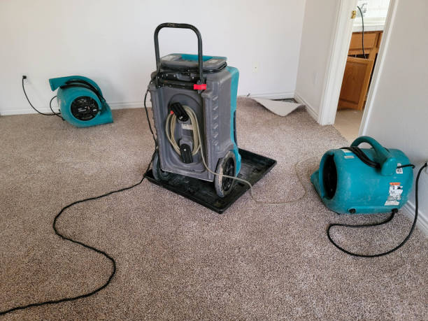  Arcola, TX Water damage restoration Pros