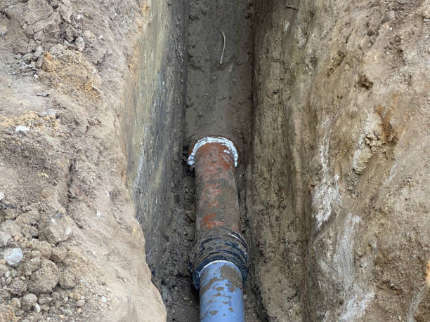 Best Flood restoration services  in Arcola, TX