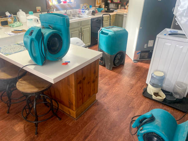Best 24-hour water damage restoration  in Arcola, TX