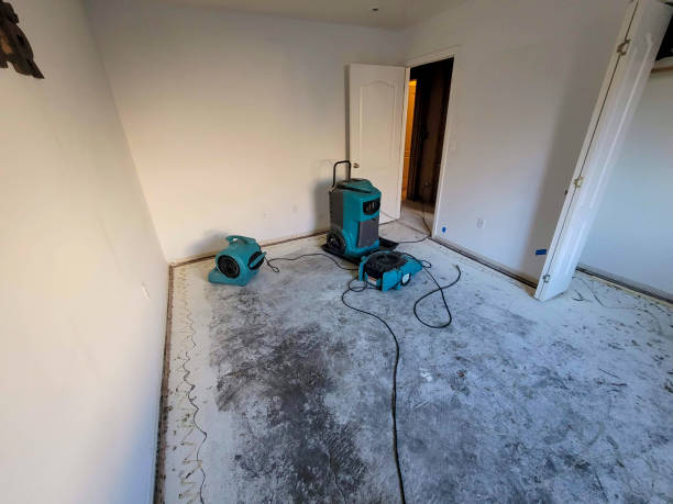 Best Sewage cleanup and water damage restoration  in Arcola, TX