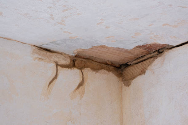 Best Local water damage restoration  in Arcola, TX
