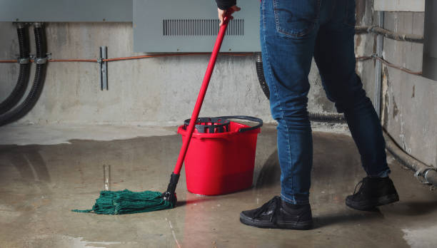 Best Residential water damage restoration  in Arcola, TX