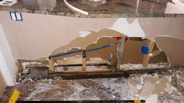 Best Water damage contractors near me  in Arcola, TX