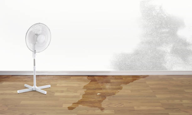 Best Water damage restoration near me  in Arcola, TX