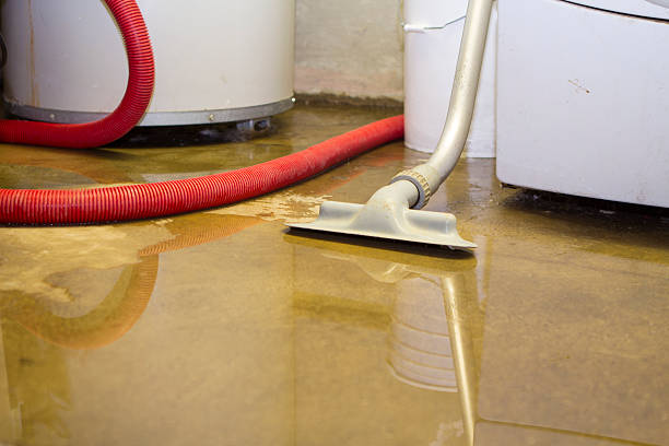 Best Water damage restoration experts  in Arcola, TX