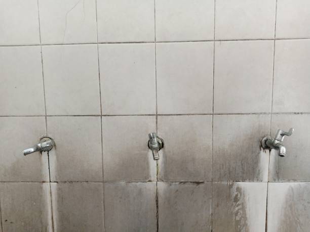 Best Water damage restoration near me  in Arcola, TX