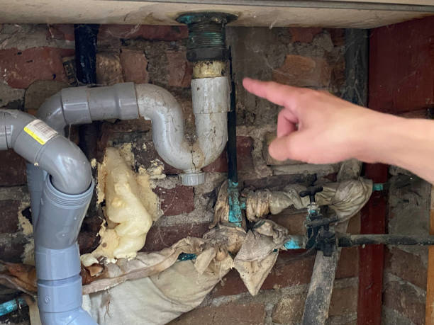 Best Water damage restoration near me  in Arcola, TX