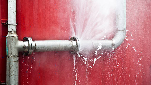 Best Water damage contractors near me  in Arcola, TX